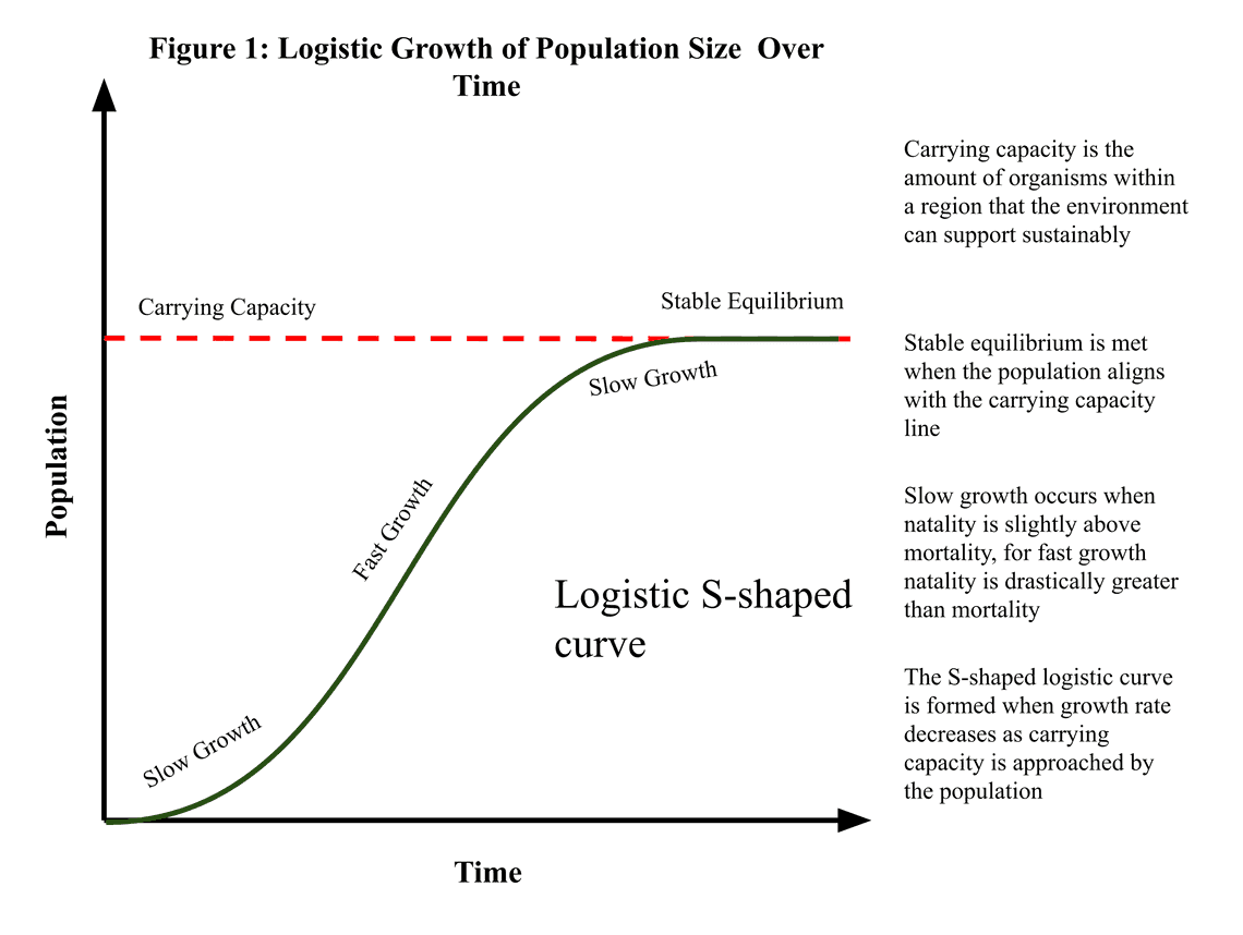 Logistic_Carrying_Capacity