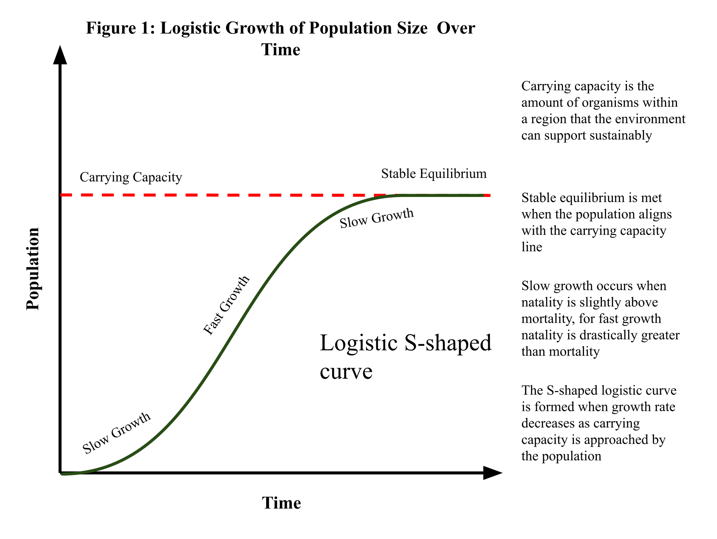 carrying-capacity-product-analytics-playground